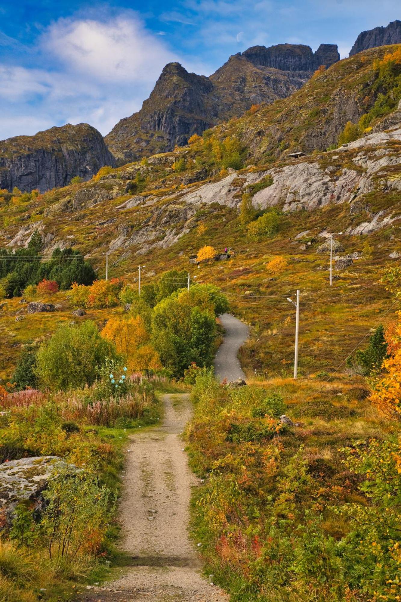 Lofoten Planet Studio Sørvågen Exterior foto